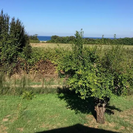Bord De - Acces Prive A La Prunete